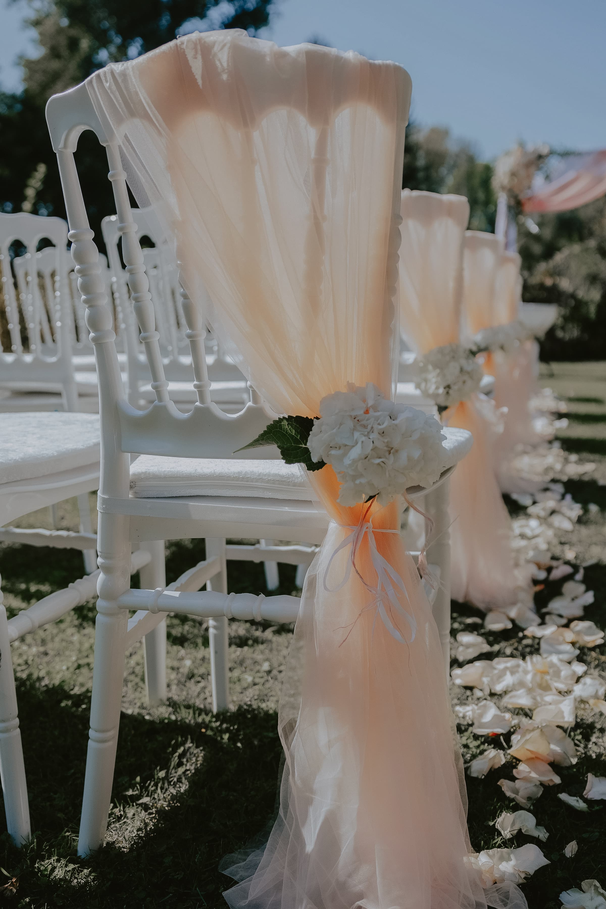 Wedding gallery 5